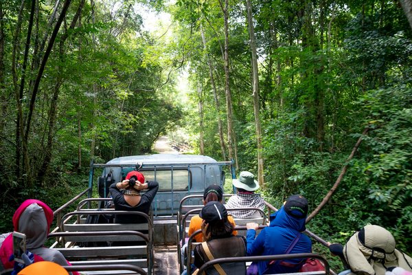 Peut-on organiser un séjour dans une cabane dans les arbres avec des excursions en forêt et des cours de photographie de nature?